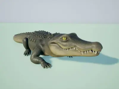 Crocodile stylized Low-poly 3D model