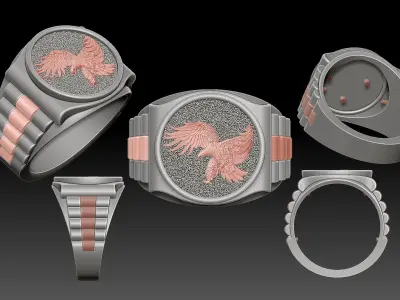 Eagle watch Man Ring silver gold printable jewelry 3D print model
