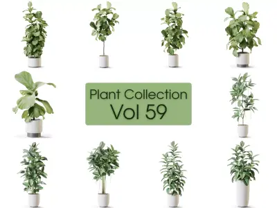 Plant Collection Vol 59