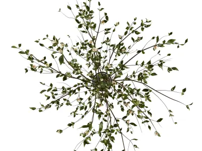 Branches in a vase 009 3D model