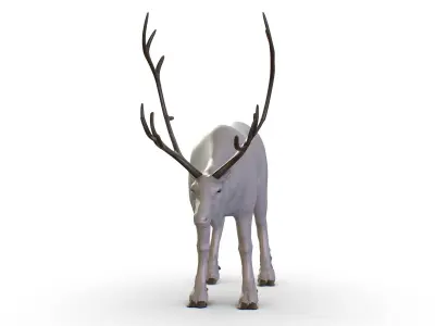 High Poly Realistic Reindeer 3D model