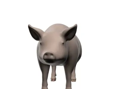 Realistic Pig 001 3D model