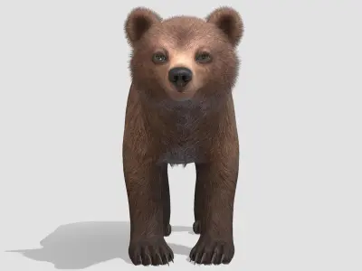 BEAR - CUB Low-poly 3D model