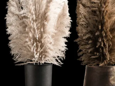 Bouquet Of Dry Reeds In A Black Metal Pot 272 3D model