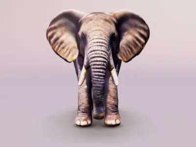 Elephant adult baby 3D model