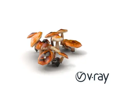 Mushroom Forest Collection model pack Low-poly 3D model