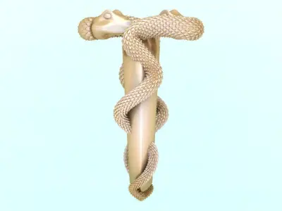 Snake ring - N843 3D print model