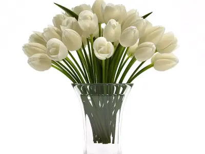 White Tulips 3D model