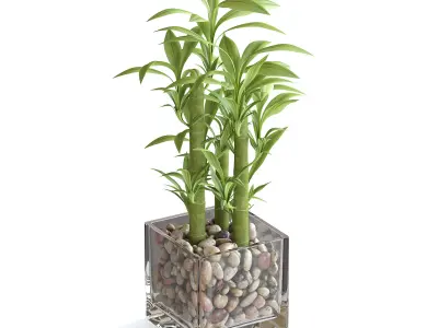 Bamboo Plant 3D model