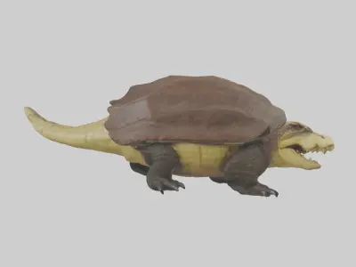 Crocodile Alligator snapping model Low-poly 3D model