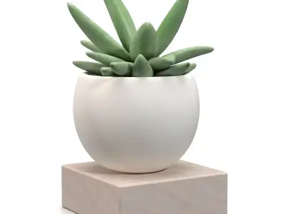 Mini Decorative Fake Succulent Artificial Plants PBR 3D model