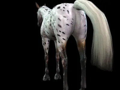 Thoroughbred Arabian Horse WILD WORLD PONY 6 Low-poly 3D model