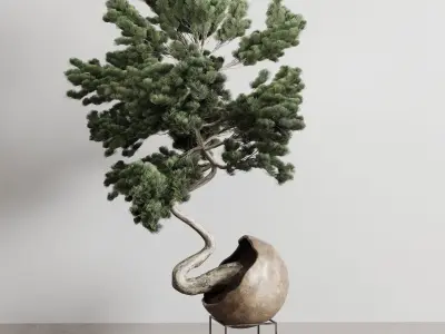 Bonsai 01 indoor plant pot concrete vase 3D model