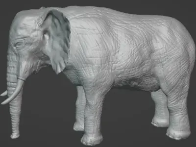 Elephant Model with Blender 3D model