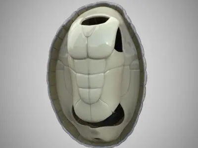 Turtle gray shell Mock-up 3d Model 3D model