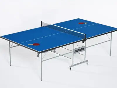Ping Pong Table 3D model