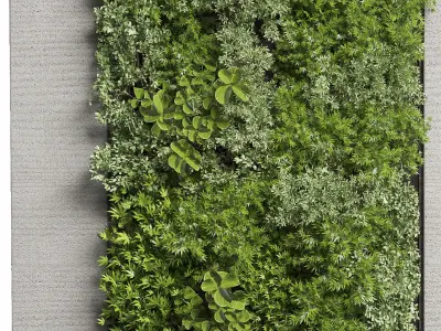 Vertical Wall Garden With Wooden frame  collection of houseplant 3D model
