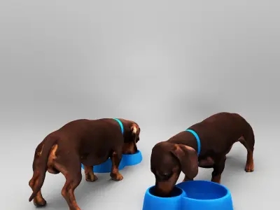 Dog with bowl 32 Low-poly 3D model