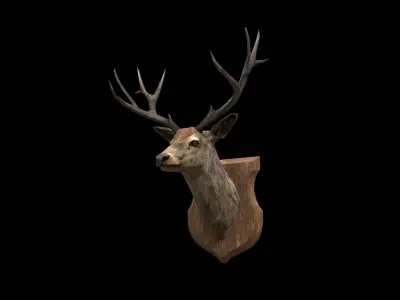 Deer Head - PBR - Textured Low-poly 3D model