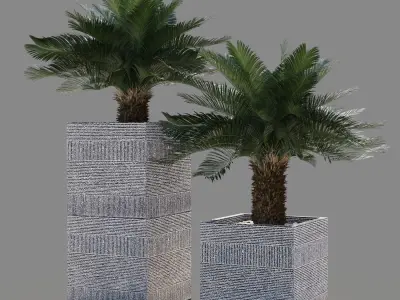 Artificial Cycas Palm in RH pot 3D model