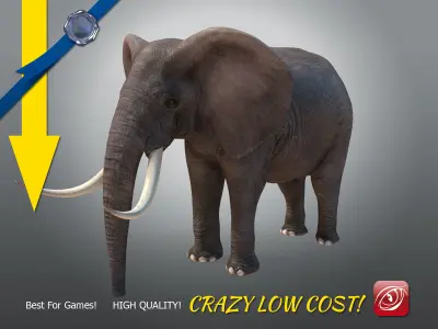Elephant maleA T-pose Low-poly 3D model