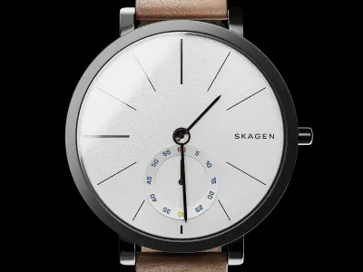 Watch Skagen SKW6216 3D model