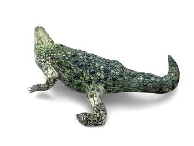 3D Crocodile rigged with animated  Low-poly 3D model