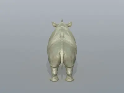 Rhinoceros Low-poly 3D model