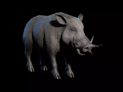 Wild Boar Low-poly 3D model