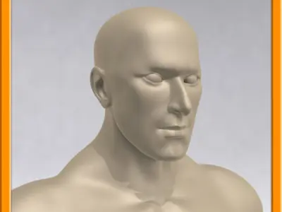 REALISTIC Male muscle set - 02 Low-poly 3D model