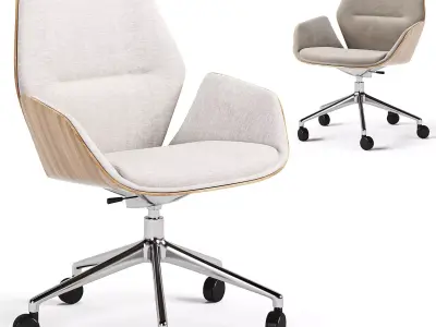 Ginkgo Conference Armchair 3D model