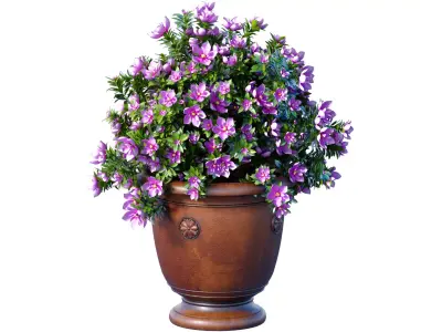 Decorative Magnolia tree garden pot decoration classic style 3D model