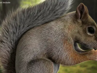 Brown Squirrel Xgen Rigged 3D model