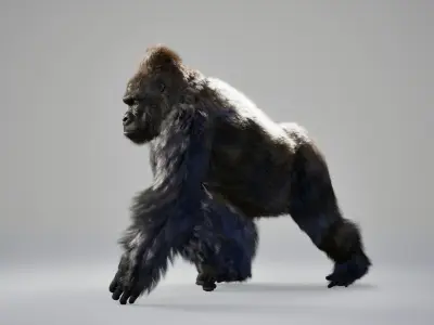 Gorilla Animated UNREAL project  Maya base rig 3D model