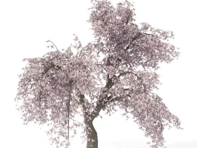 2020 XfrogPlants Blossoming Trees Library  3D model