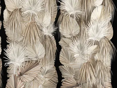 Phytowall Of Dried Flowers And Dry Palm Leaves 3D model