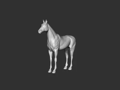 Horse 3D model Low-poly 3D model
