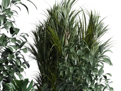 indoor plant set 308 pot palm ficus rubbery monstera Low-poly 3D model