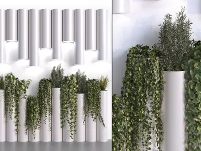Decorative Plant Cylinders 3D model