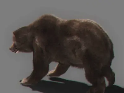 Pack - Bears Animated 3D model