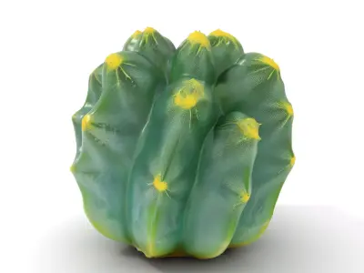 Round Green Cactus model pack Low-poly 3D model