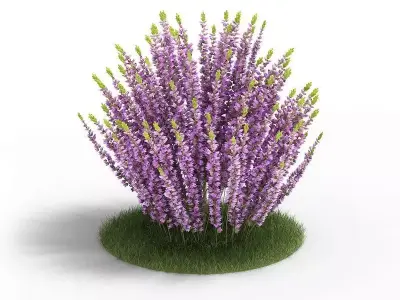Beautiful Purple Flower Decoration 3D model