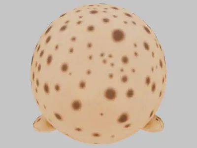 Cute 3D Seal Model 3D model