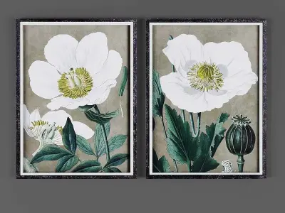 Collection of Picture Frames - 20 sets 