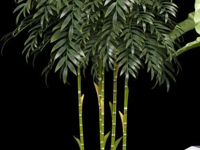 plants set 127 3D model