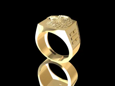 Eagle Rings Texture 3D print model 3D print model