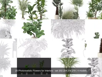 20 Photorealistic Flowers for Interiors - set 202 204 216 219 3D Model Collection