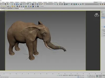 realistic Rigged Elephant  3D model