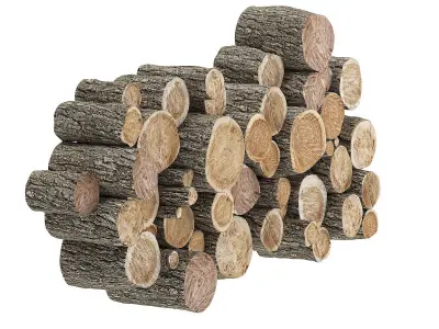 Wood Logs Decoration 3D model
