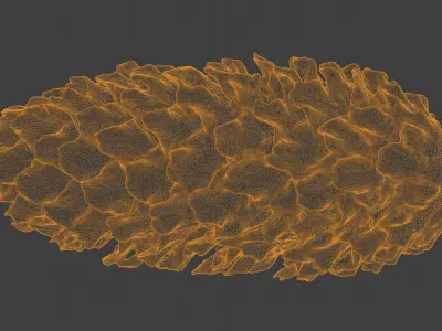 Photorealistic 3D scan of pine conifer cone Low-poly 3D model